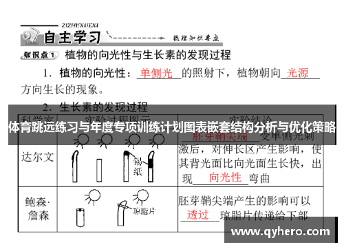 体育跳远练习与年度专项训练计划图表嵌套结构分析与优化策略